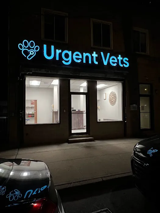 IAC Urgent Vets - Bronx 9