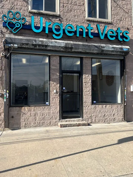 IAC Urgent Vets - Bronx 7