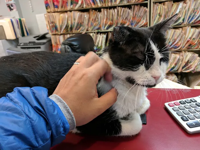 Forest Hills Cat Hospital 8