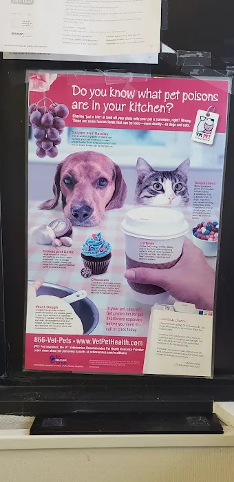 Forest Hills Cat Hospital 4