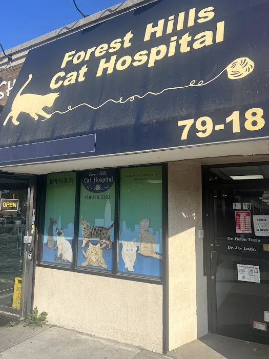 Forest Hills Cat Hospital 1