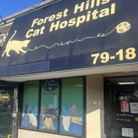 Forest Hills Cat Hospital ico