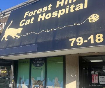 Forest Hills Cat Hospital