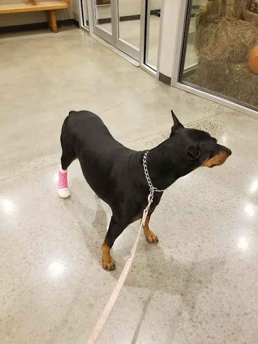 Juniper Valley Animal Hospital 3