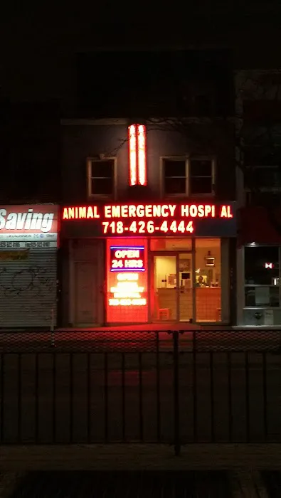 Elmhurst Animal Hospital 1
