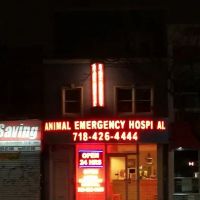 Elmhurst Animal Hospital ico