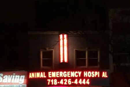 Elmhurst Animal Hospital