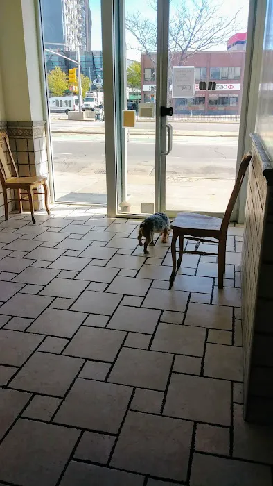 Elmhurst Animal Hospital 4