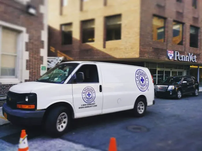 AmbuVet Pet Ambulance 2