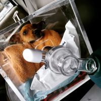 AmbuVet Pet Ambulance ico