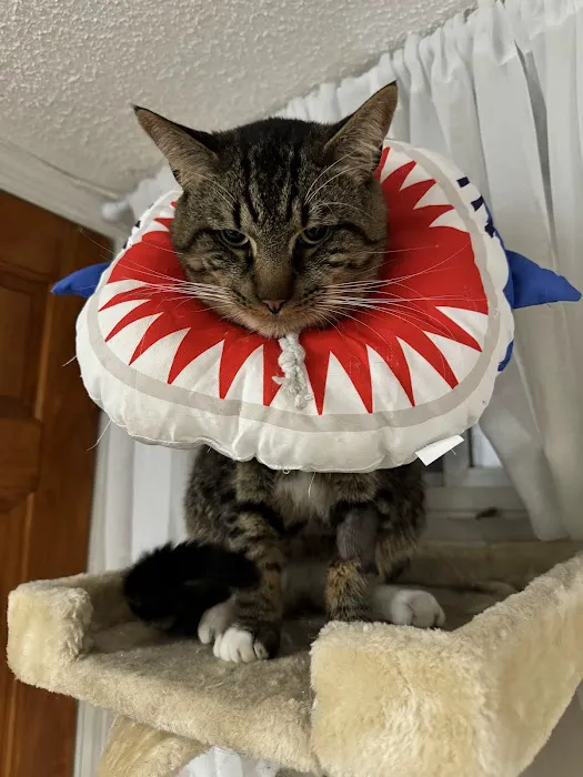 Maspeth Animal Hospital 9