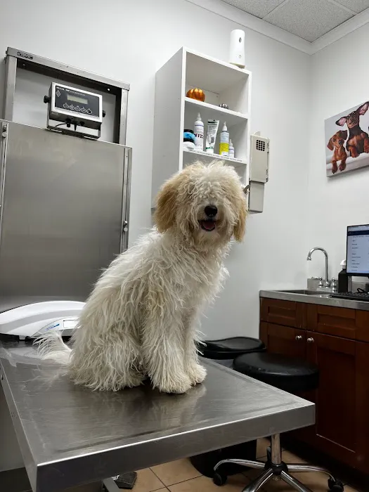 Maspeth Animal Hospital 2
