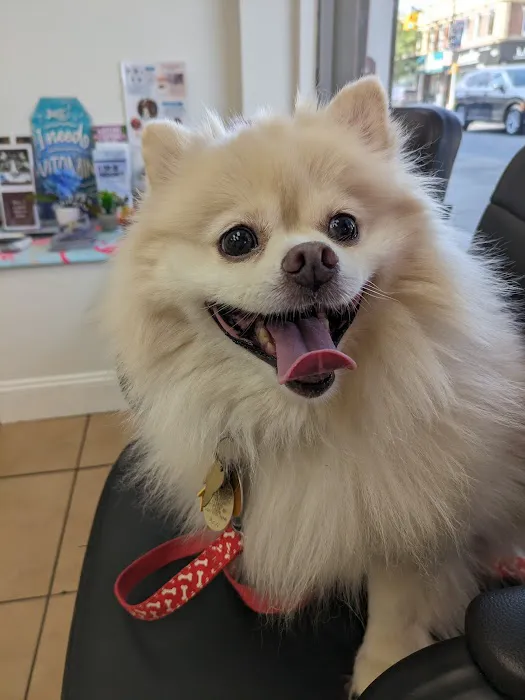 Maspeth Animal Hospital 5