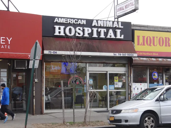 St Mark Animal Clinic / Jackson Heights Animal Clinic 12
