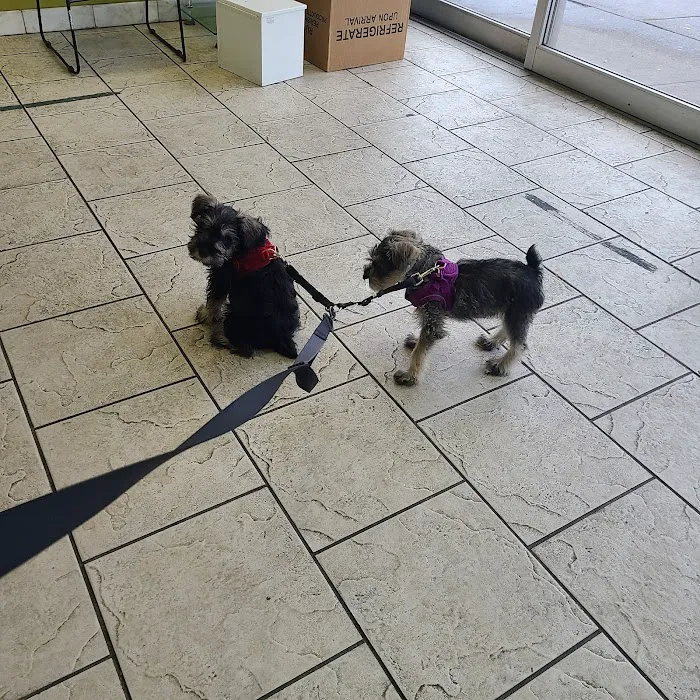 St Mark Animal Clinic / Jackson Heights Animal Clinic 12