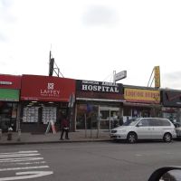 St Mark Animal Clinic / Jackson Heights Animal Clinic ico