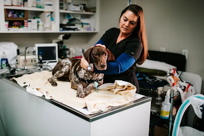Twin Oaks Veterinary Clinic 7