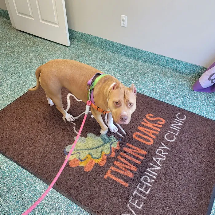 Twin Oaks Veterinary Clinic 5