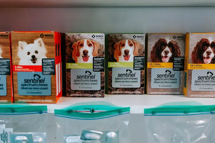 Twin Oaks Veterinary Clinic 2