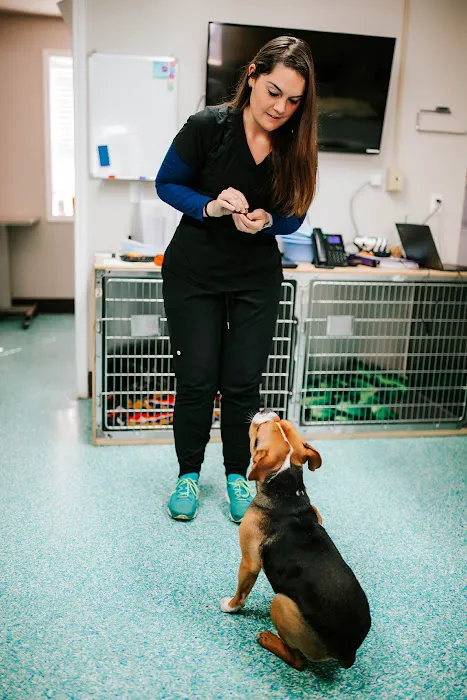 Twin Oaks Veterinary Clinic 4
