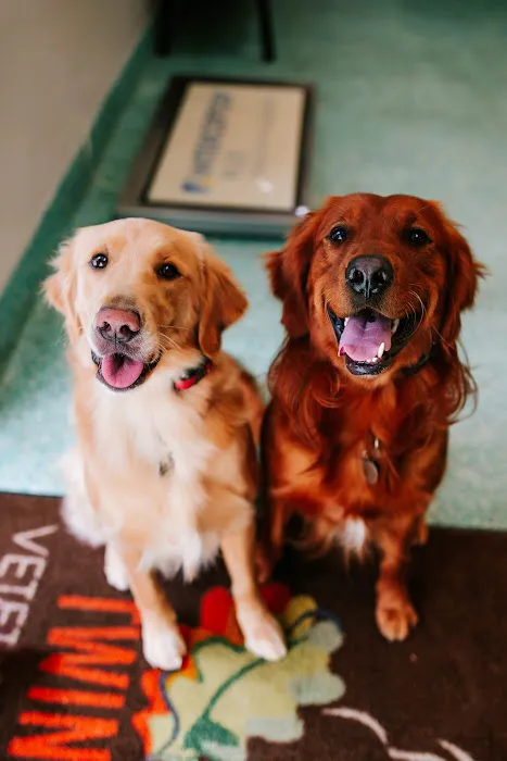 Twin Oaks Veterinary Clinic 1