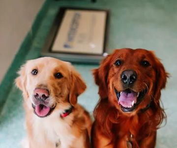 Twin Oaks Veterinary Clinic