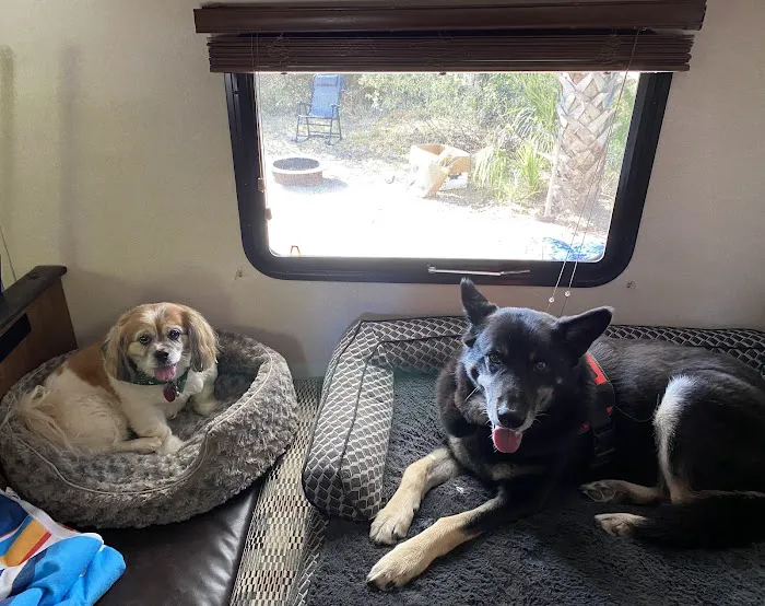 West Spartan Animal Hospital 12