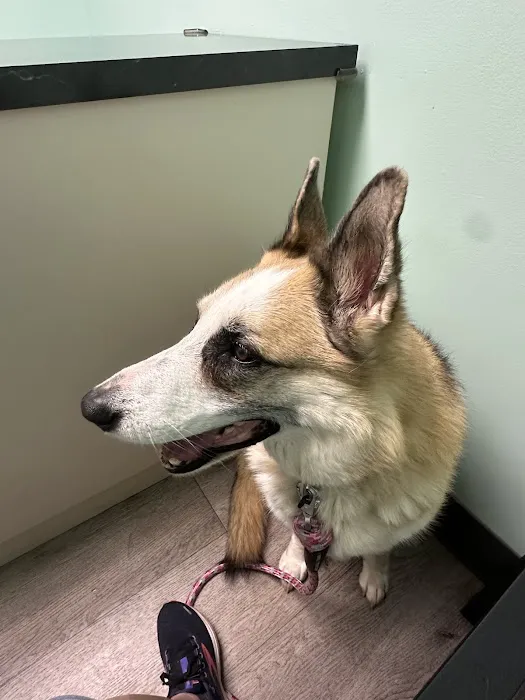 West Spartan Animal Hospital 12