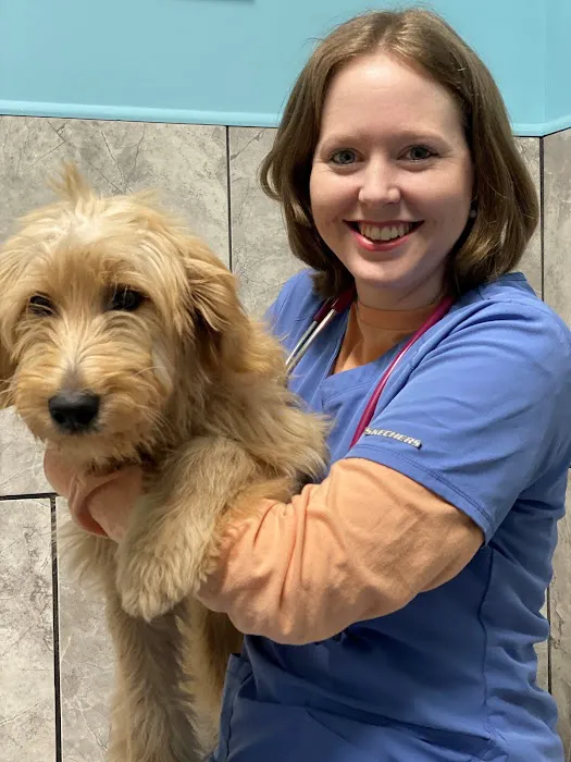 Horn Lake Animal Hospital and Urgent Care 3