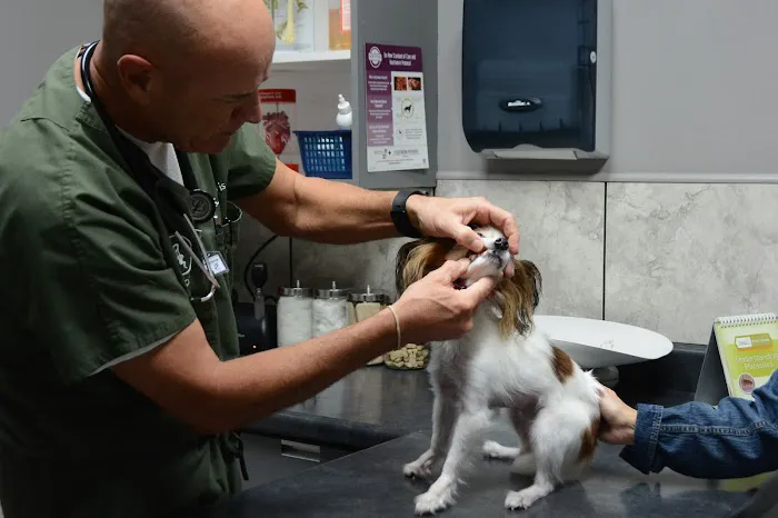 Horn Lake Animal Hospital and Urgent Care 10