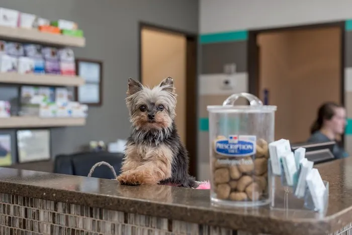 The Pet Hospitals Germantown 12