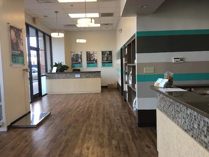 The Pet Hospitals Germantown 12