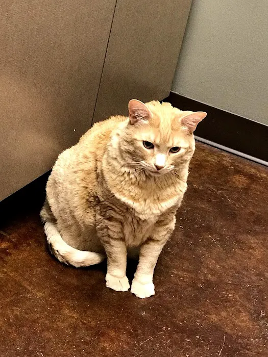 The Pet Hospitals Germantown 12