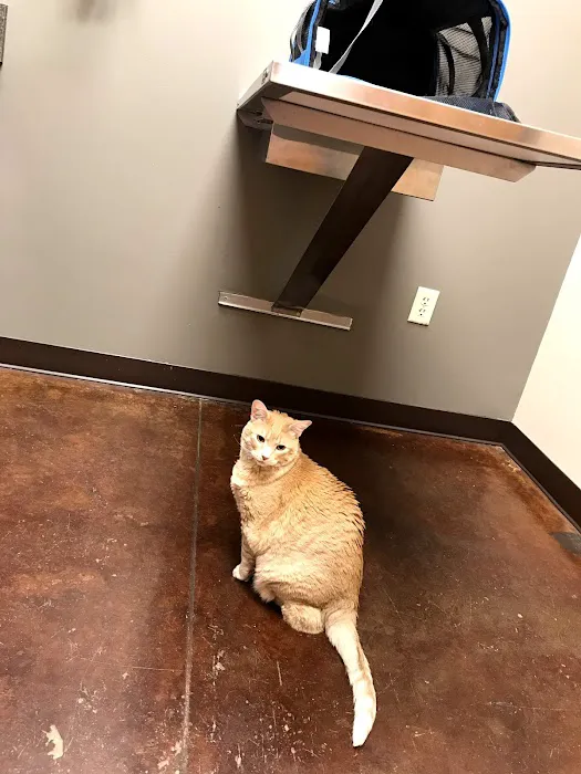 The Pet Hospitals Germantown 12