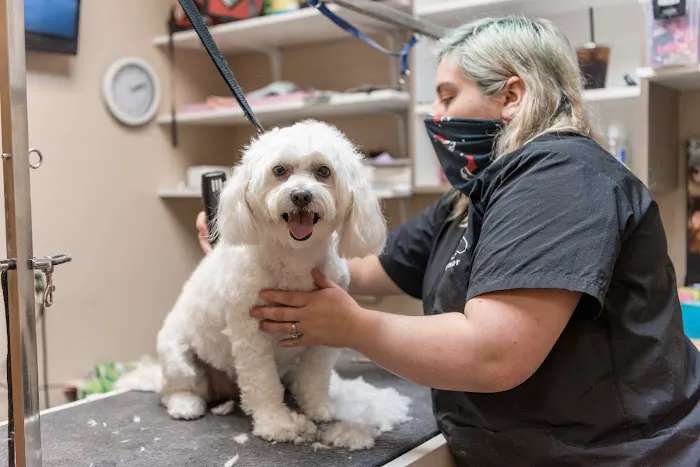 The Pet Hospitals Germantown 12