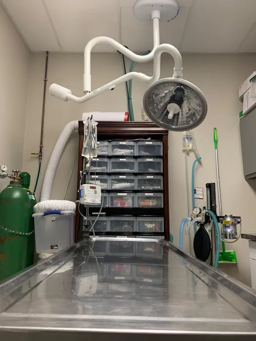 Germantown Farmington Animal Hospital 8