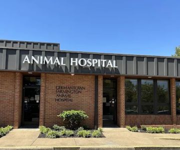 Germantown Farmington Animal Hospital