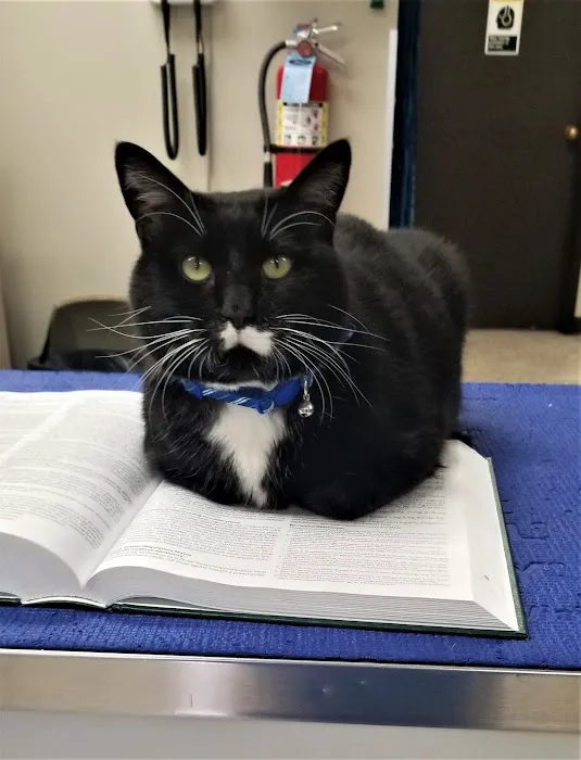 Germantown Farmington Animal Hospital 3