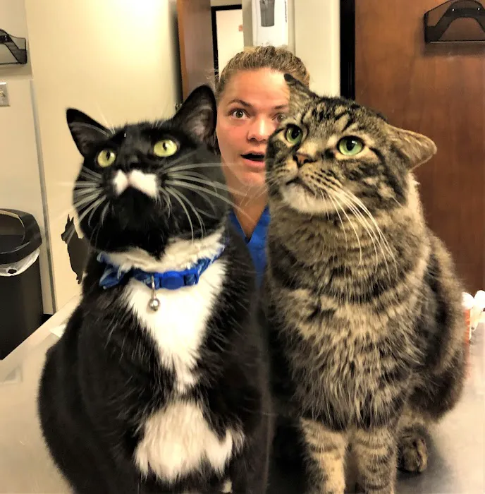 Germantown Farmington Animal Hospital 6