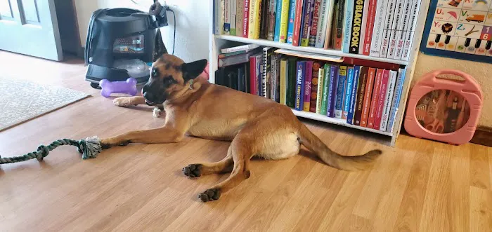Germantown Farmington Animal Hospital 2