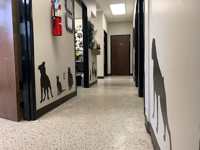 Germantown Farmington Animal Hospital 5