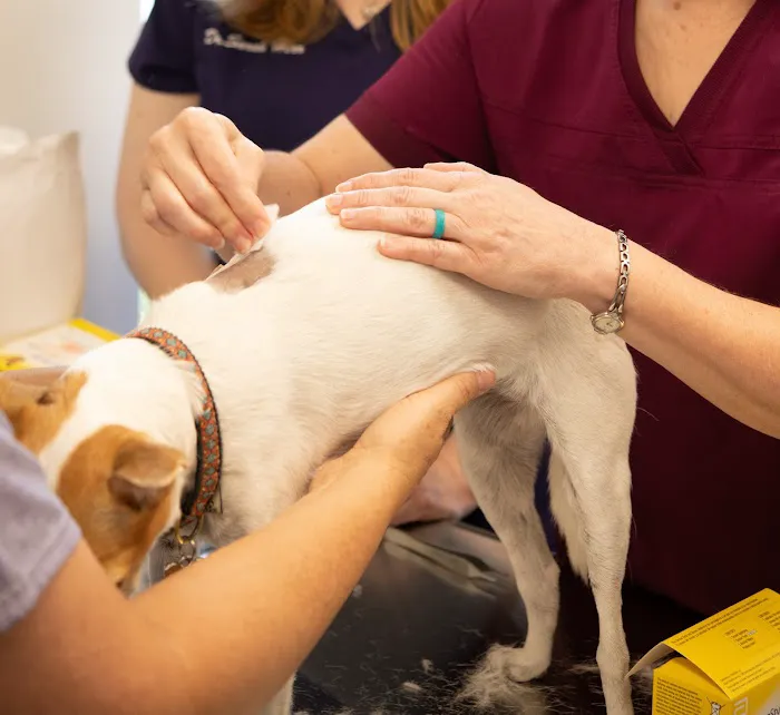 Healing Paws Animal Hospital 3