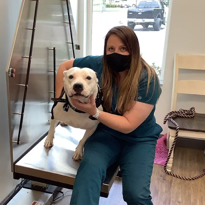 Healing Paws Animal Hospital 6