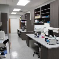 Healing Paws Animal Hospital ico