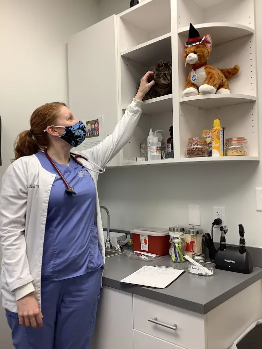 Healing Paws Animal Hospital 5