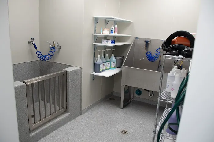 Healing Paws Animal Hospital 2