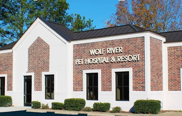Wolf River Pet Hospital 12