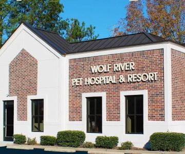 Wolf River Pet Hospital