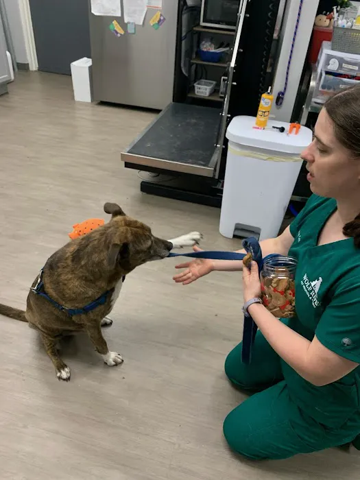 Wolf River Pet Hospital 12