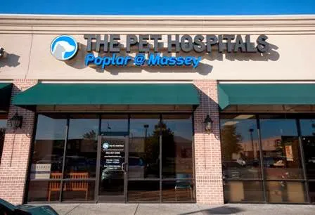 The Pet Hospitals Poplar at Massey 12